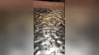 Wall Ceiling Decorative Panel Water Ripple Mirror Stainless Steel Sheet and Plate 
