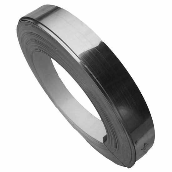 ASTM Ss Steel Coil 201 304 316/316L 410 409 430 Stainless Steel Strip