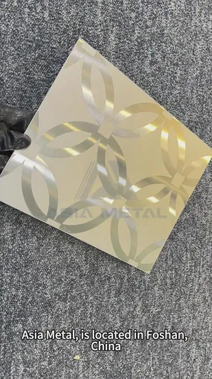 316L Super Mirror Titanium PVD Colored Chemically Etched Stainless Steel Sheets/Panels for Decoration 