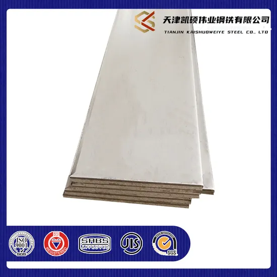 Premium 304 Brushed Stainless Steel Flat Bar for Manufacturing 