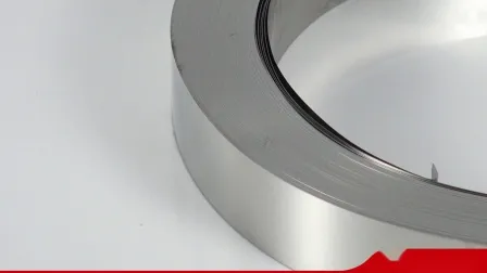 Stainless Steel Strip/Coil/Sheet SS321/EN1.4541 Stainless Steel Coil Strip (Used for Flexible Metal Hoses) 